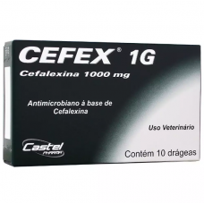 Antibiótico Castel Pharma Cefex 1000 mg