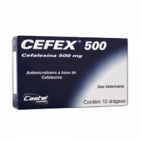 Cefex 500 Antibiótico Castel Pharma Cães e Gatos